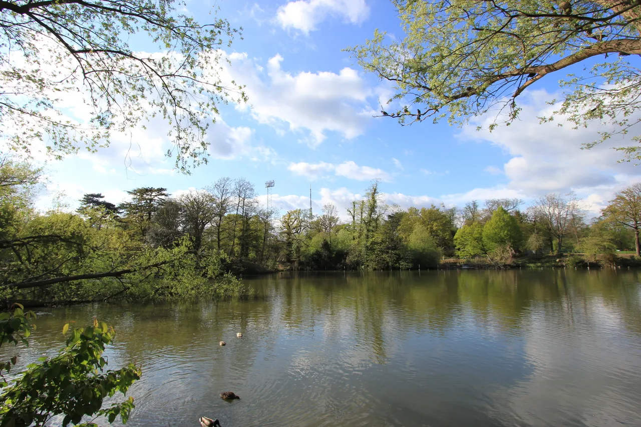 Laurel Grove, London, SE20, photo 7