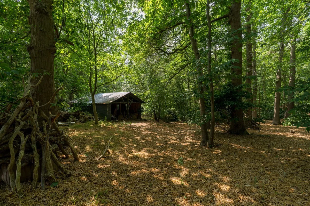 Rectory Road, Langham, CO4, photo 33