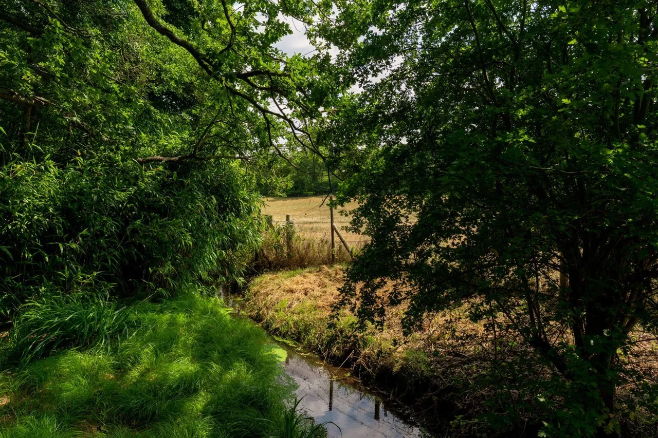 Rectory Road, Langham, CO4, photo 38