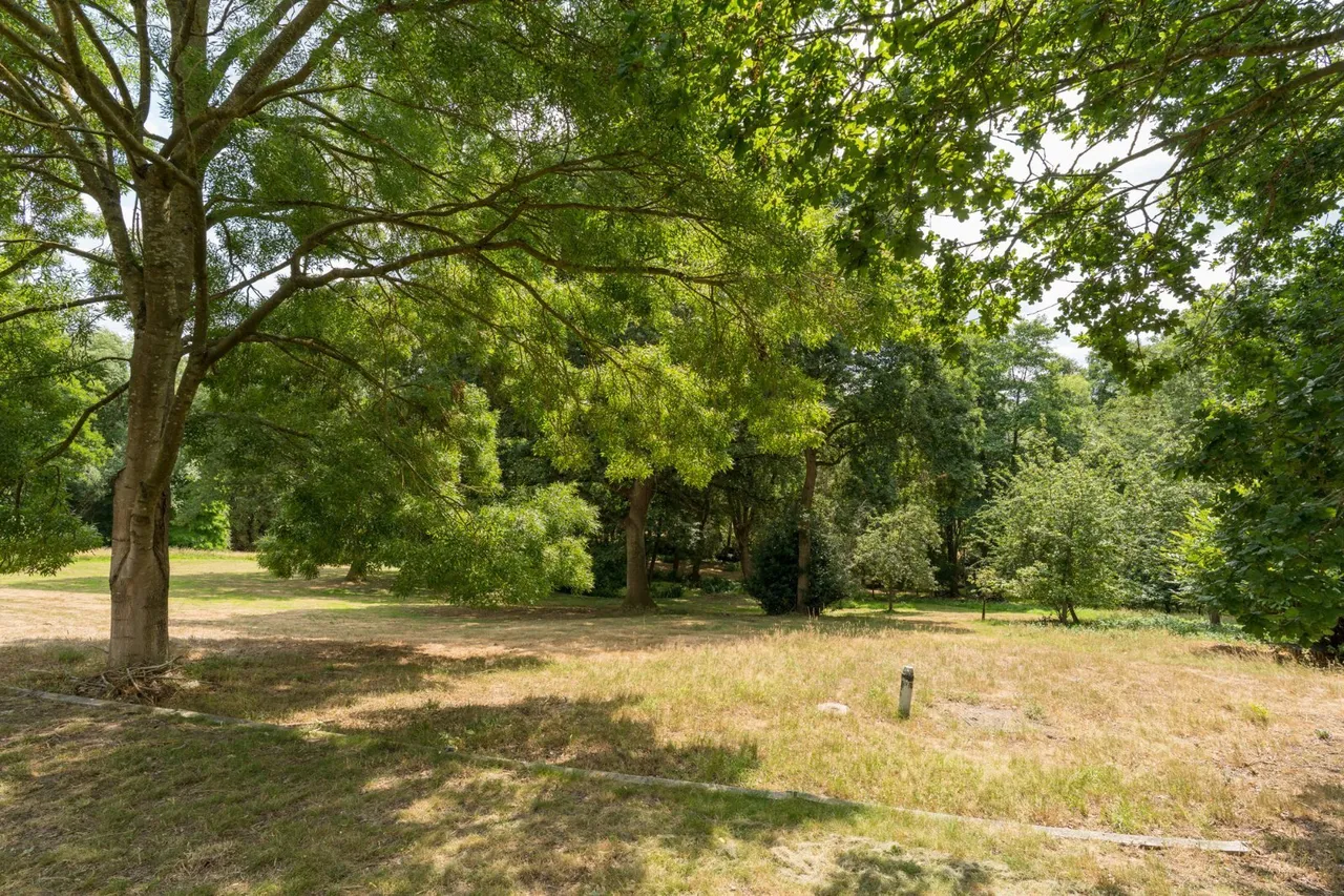 Rectory Road, Langham, CO4, photo 43