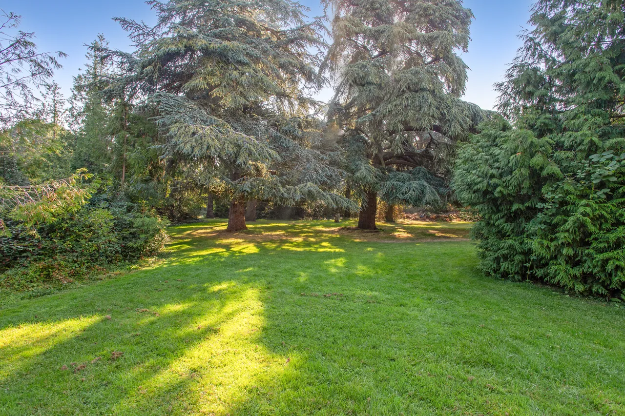 Longbourn, Windsor, SL4, photo 8