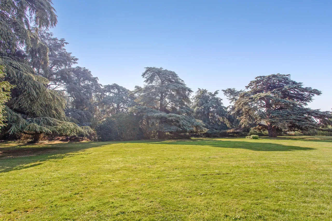 Longbourn, Windsor, SL4, photo 12