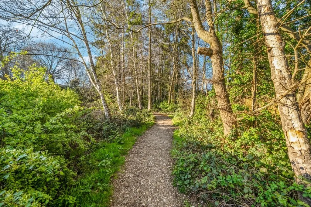 Strawberry Fields, Addlestone, KT15, photo 20