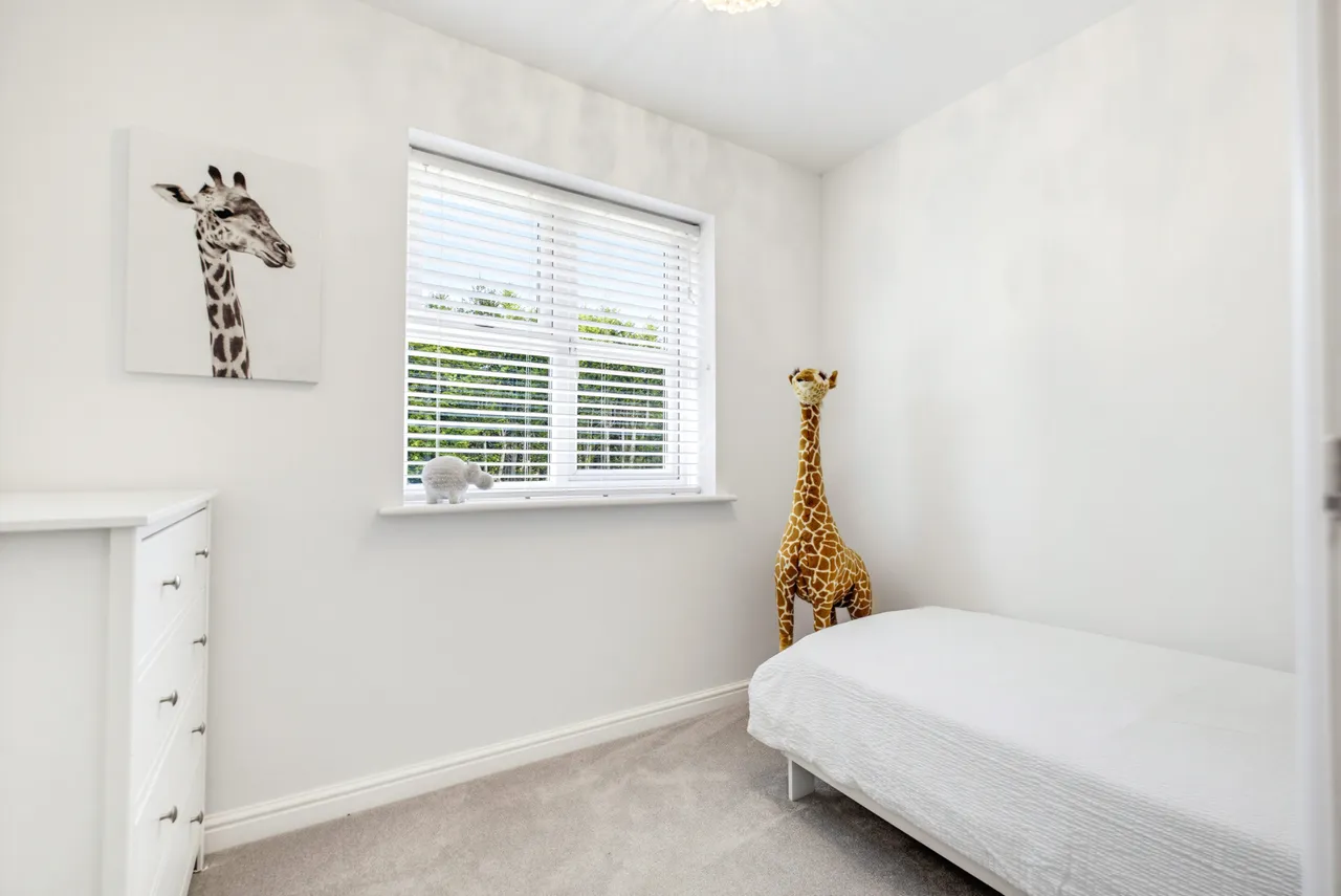 Buckton Close, Sutton Coldfield, Sutton Coldfield, B75 5TF, photo 30