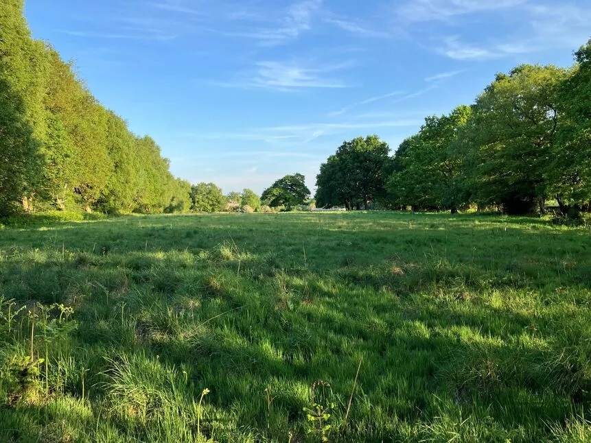 Gore Lane, Land To The North Side, Alderley Edge, Cheshire, SK9, photo 9