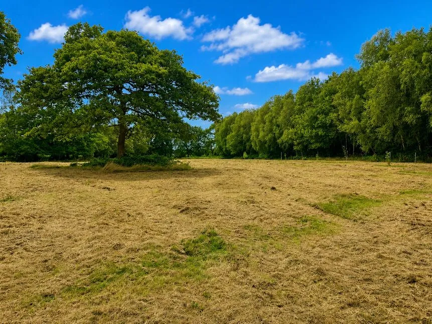 Gore Lane, Land To The North Side, Alderley Edge, Cheshire, SK9, photo 5