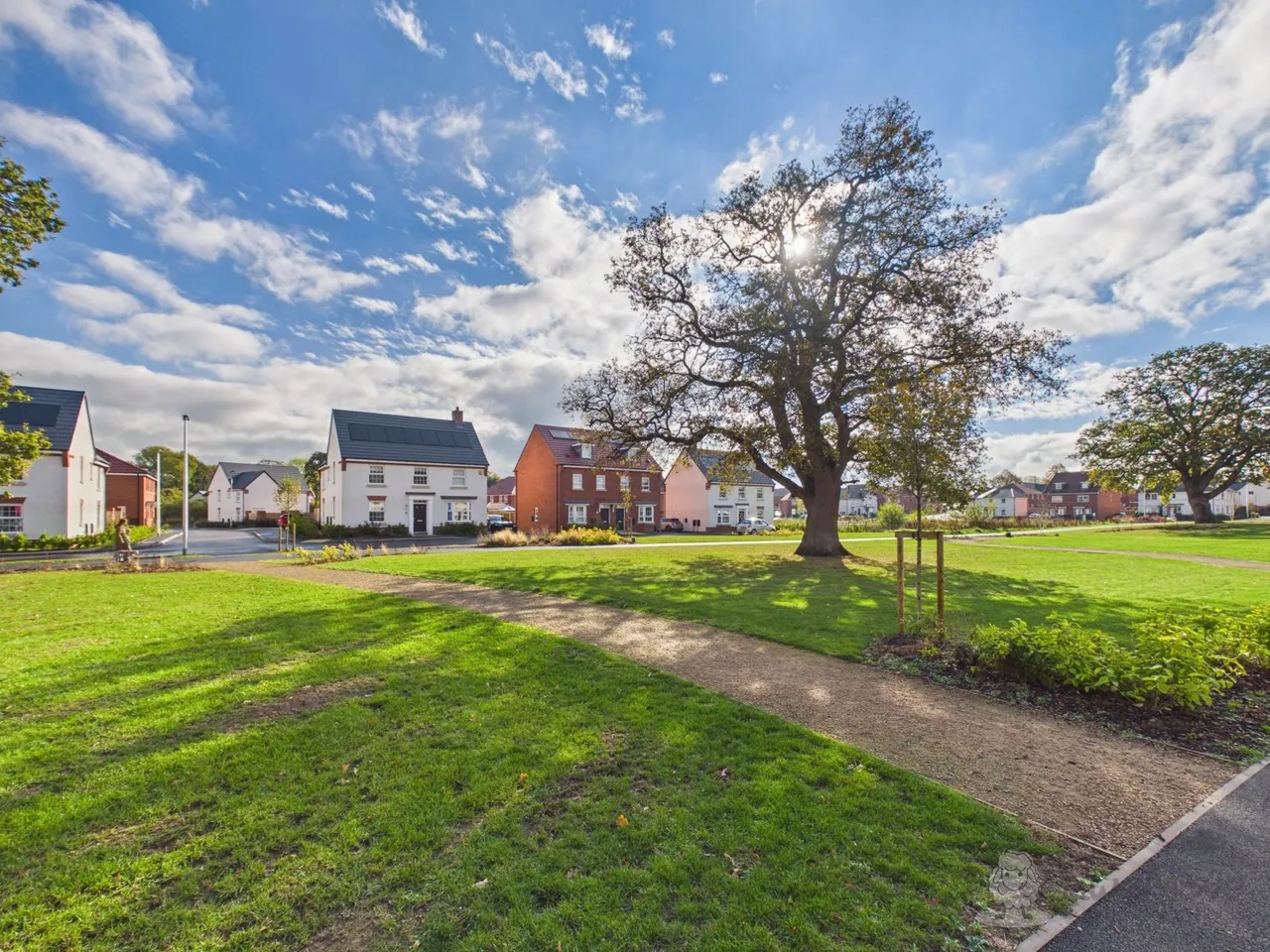 Newitt Road, Bicton Heath, SY3, photo 22