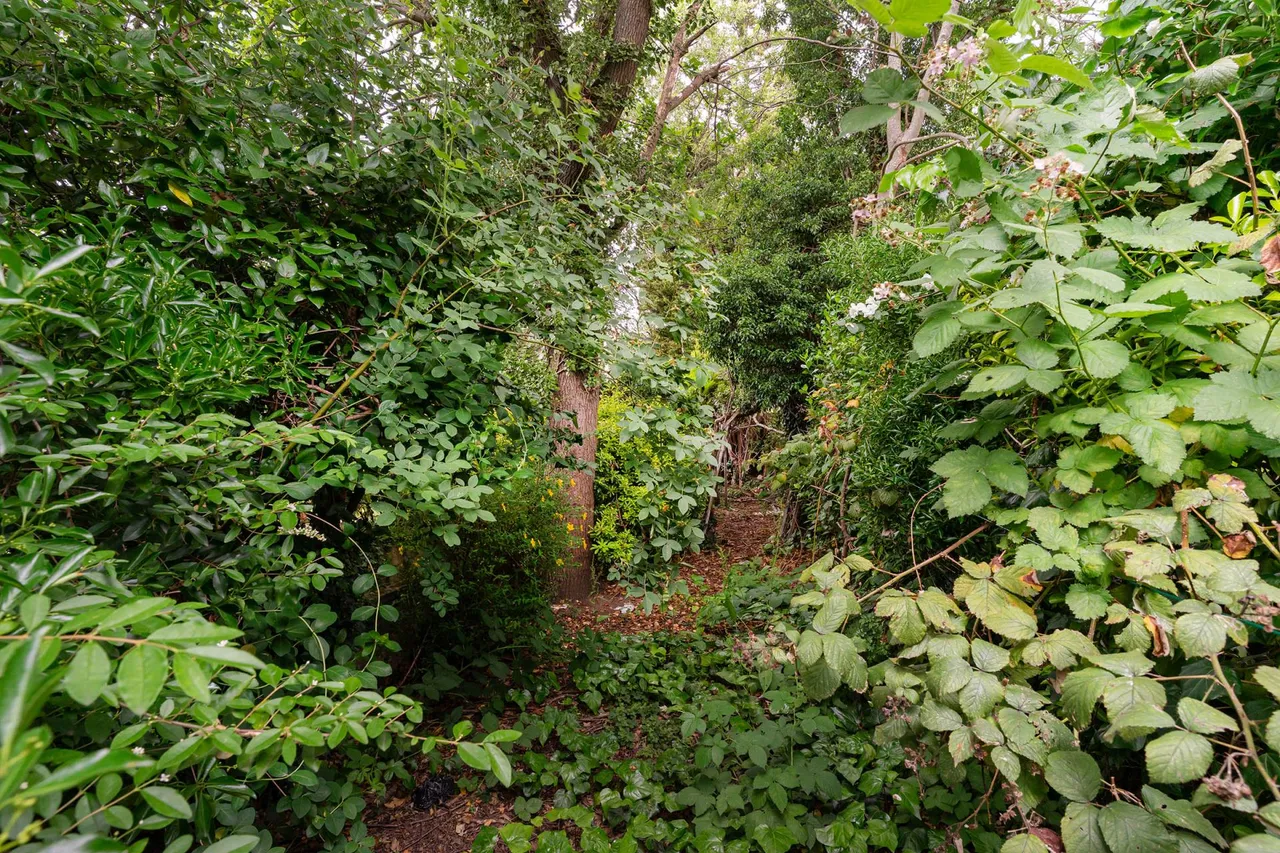 Braemar Avenue, Thornton Heath, CR7, photo 4