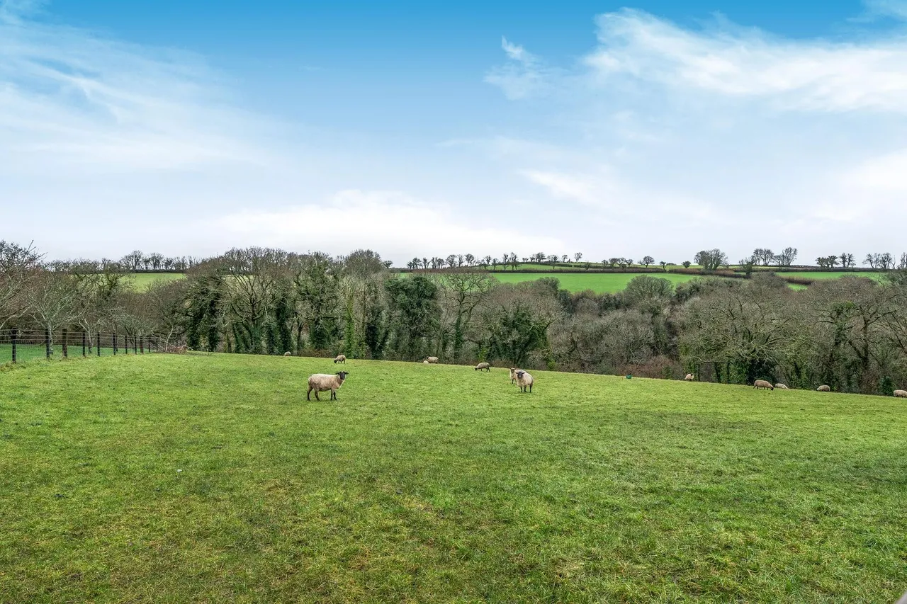 Diptford, Totnes, TQ9, photo 22