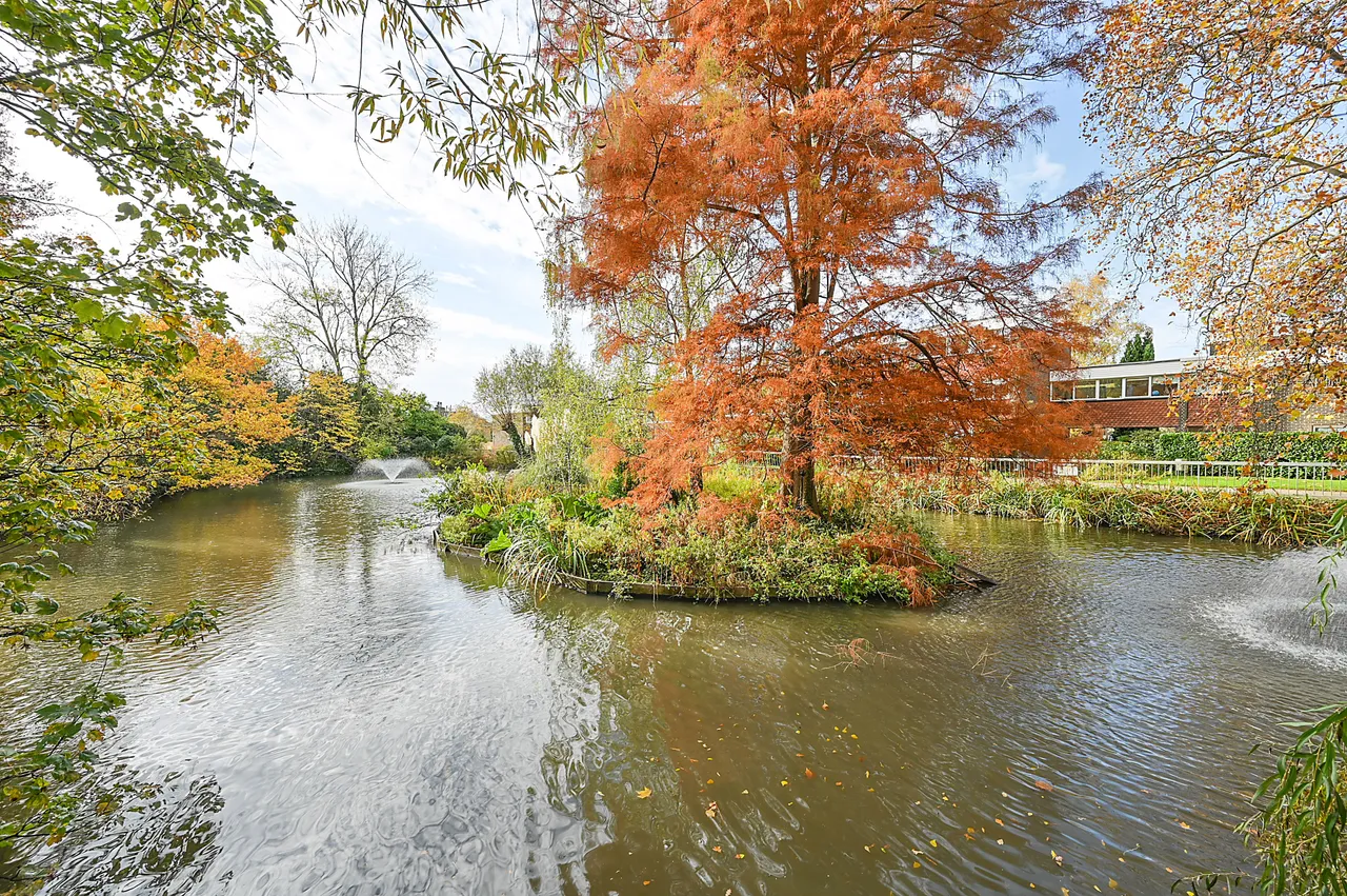6 The Cedars, Heronsforde, London, photo 5