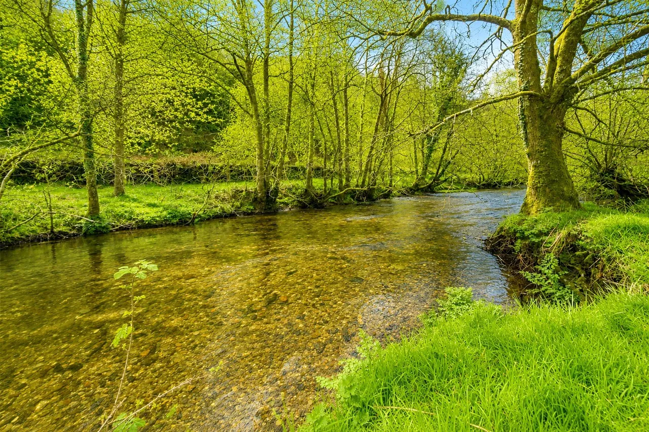 Dulverton, TA22, photo 28