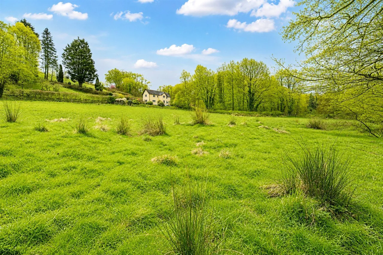 Dulverton, TA22, photo 3