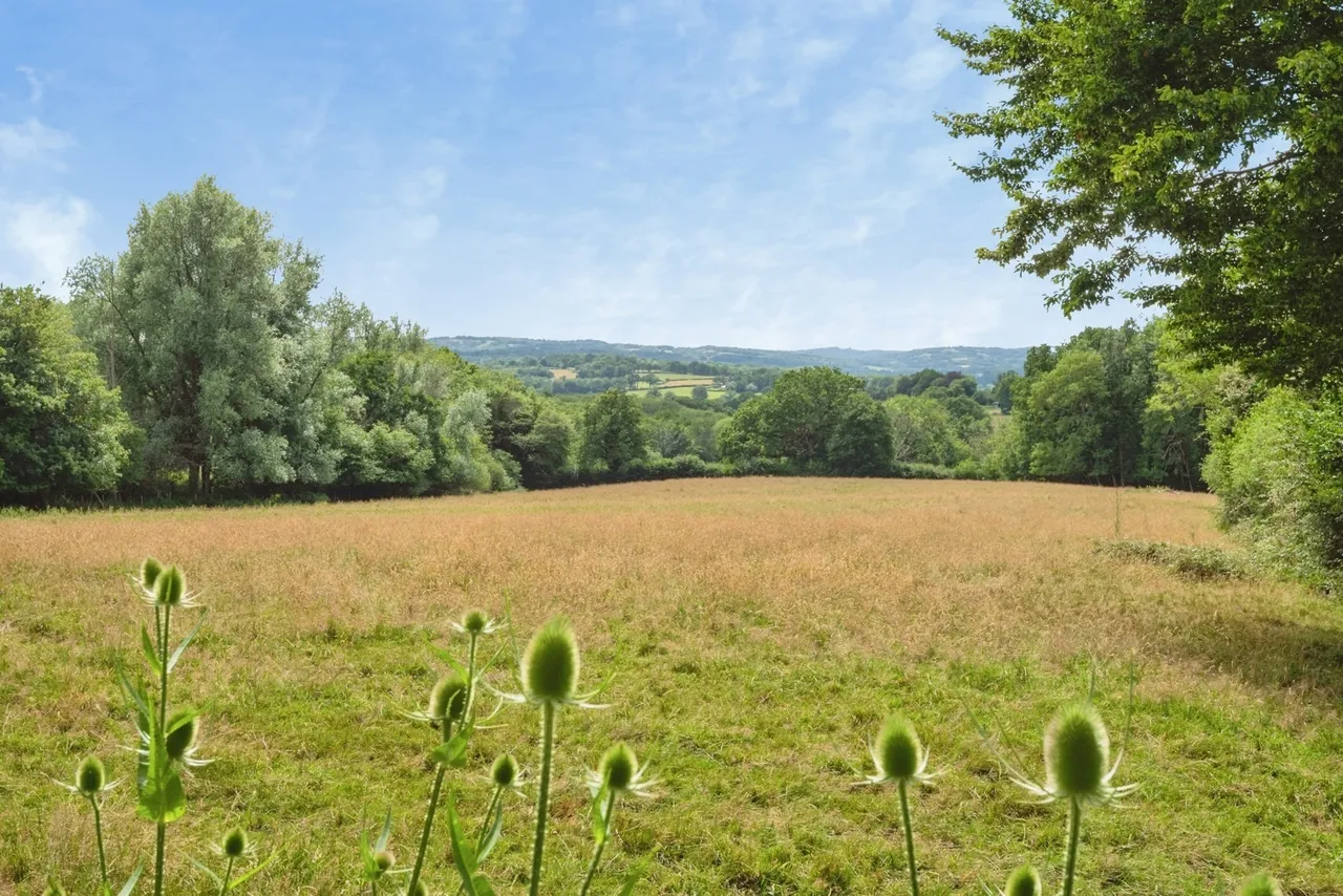 Colemans Way, Hurst Green, TN19, photo 6