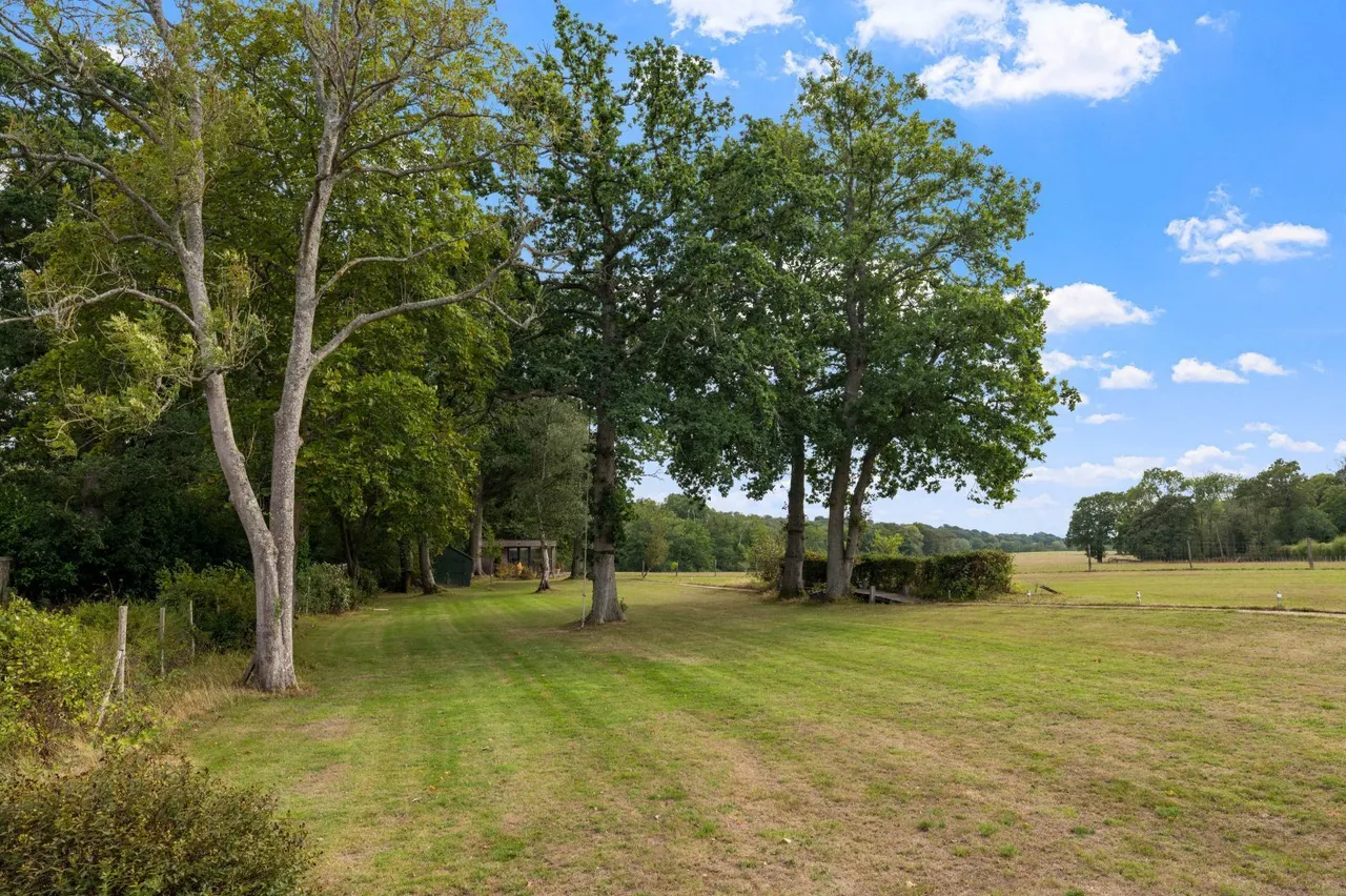 Broadhurst Manor Road, Horsted Keynes, RH17, photo 22
