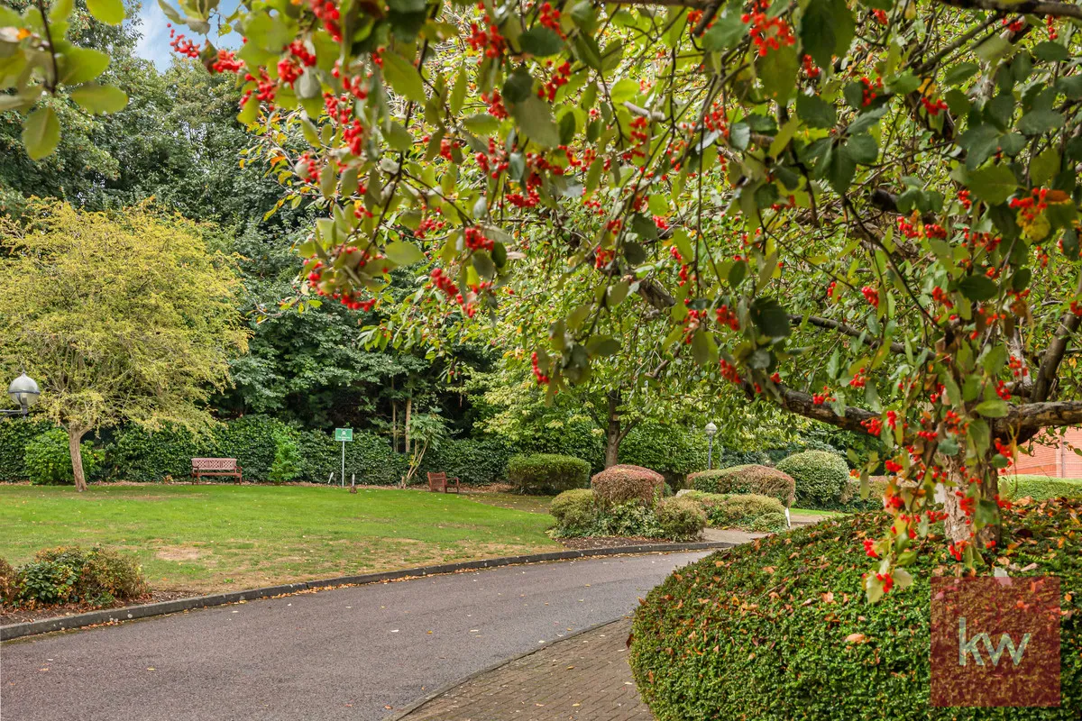 Maidenhead, SL6, photo 14