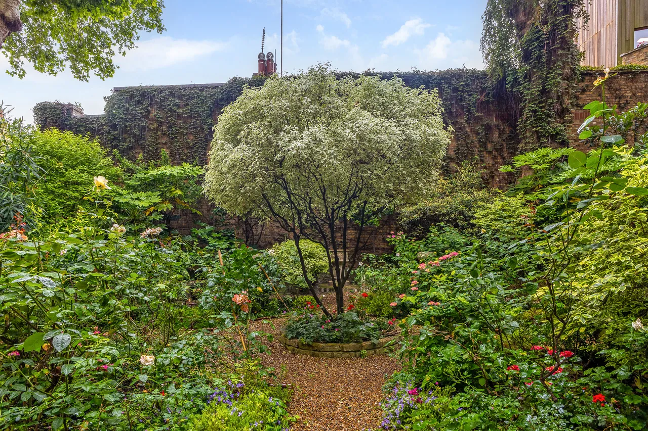 Cliveden Place, London, SW1W, photo 6