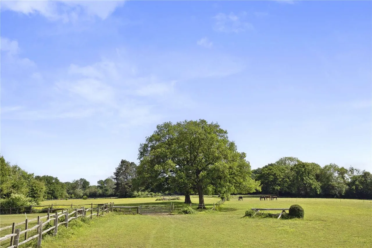 Old Farleigh Road, Farleigh Common, CR6, photo 26