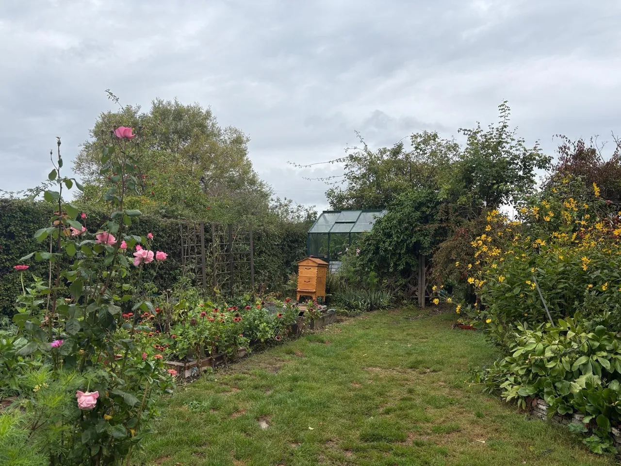 New Road, Tadley, RG26, photo 20