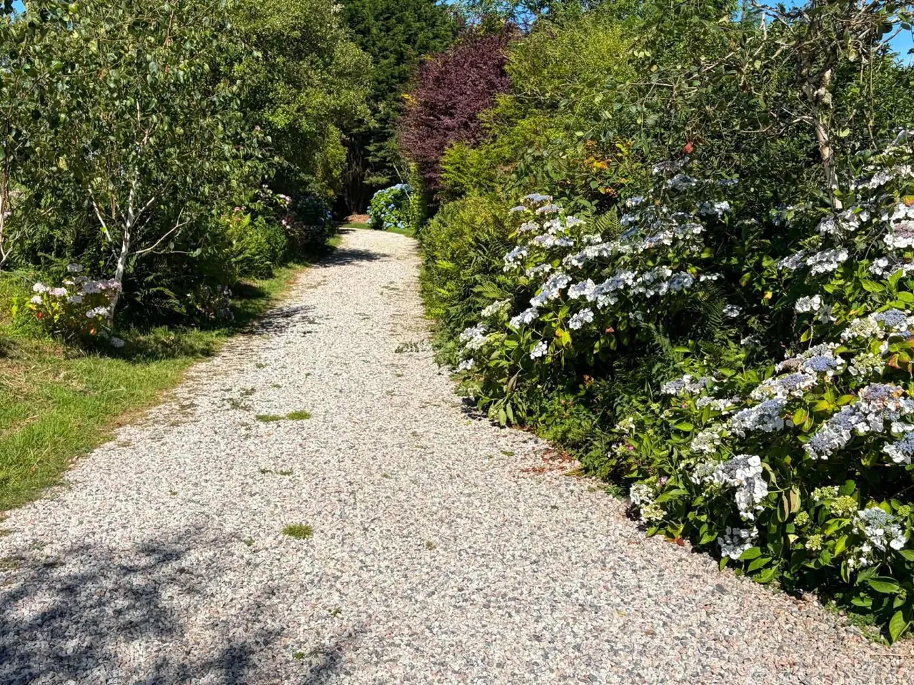 Lanlivery, Bodmin, photo 6