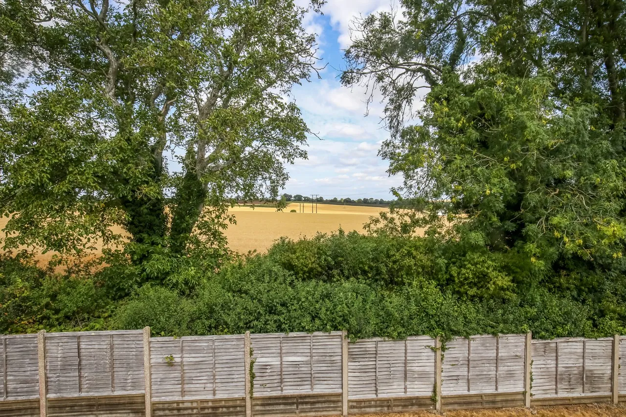 Mill Close, Winterbourne Gunner, Salisbury, Wiltshire, SP4 6JR, photo 16
