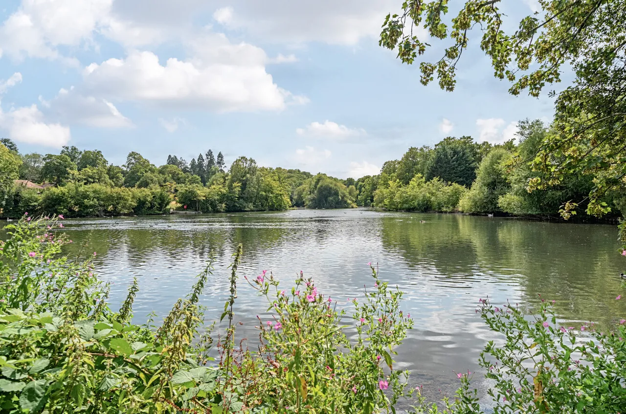 1 bed flat for sale, Waterside Court, Alton, GU34