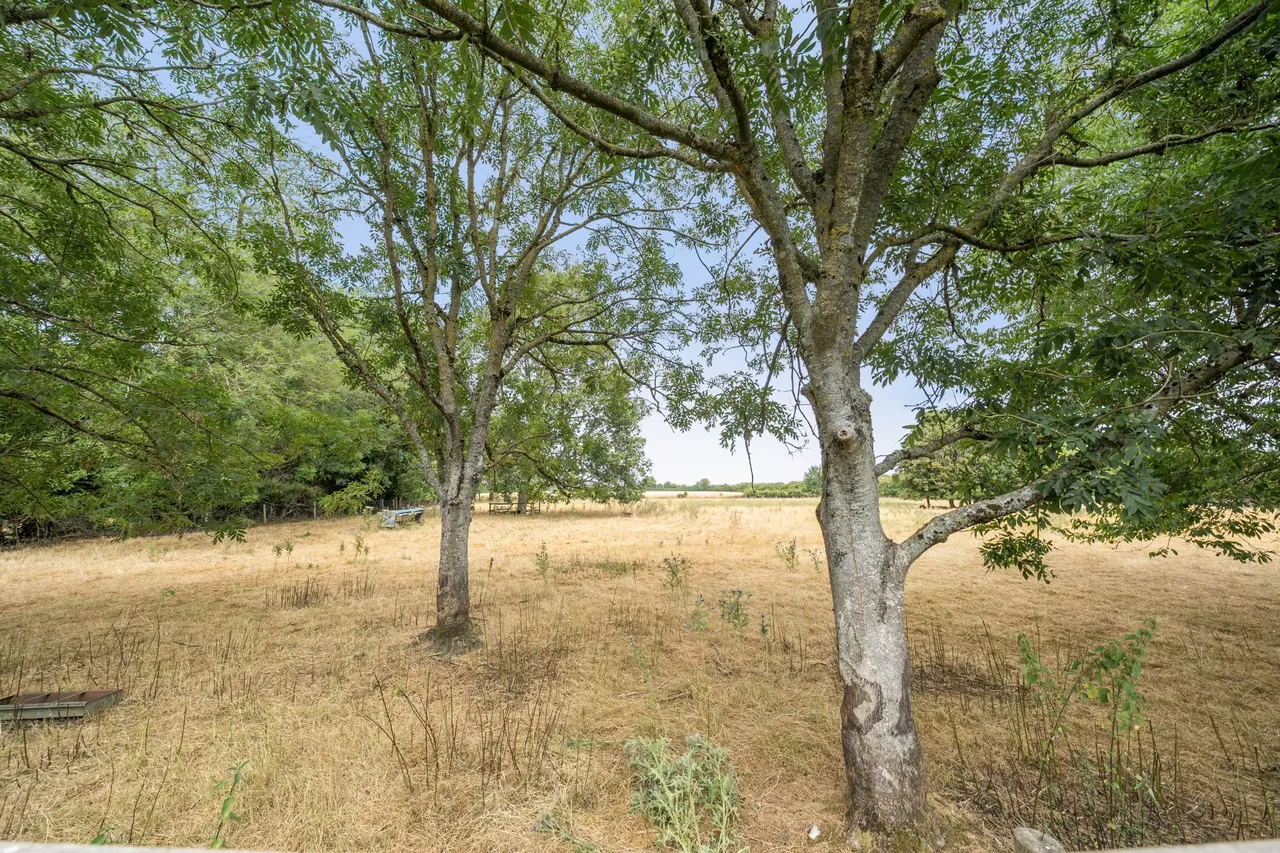 Lees Hill House Lees Hill, South Warnborough, Hook, RG29 1RQ, photo 22