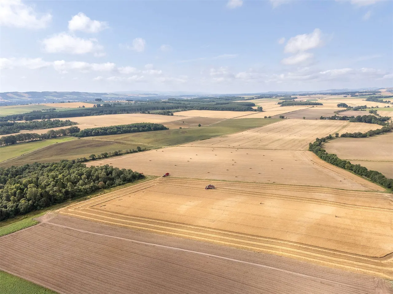Land At The Coe, Menmuir, Brechin, Angus, DD9 6SF, photo 4