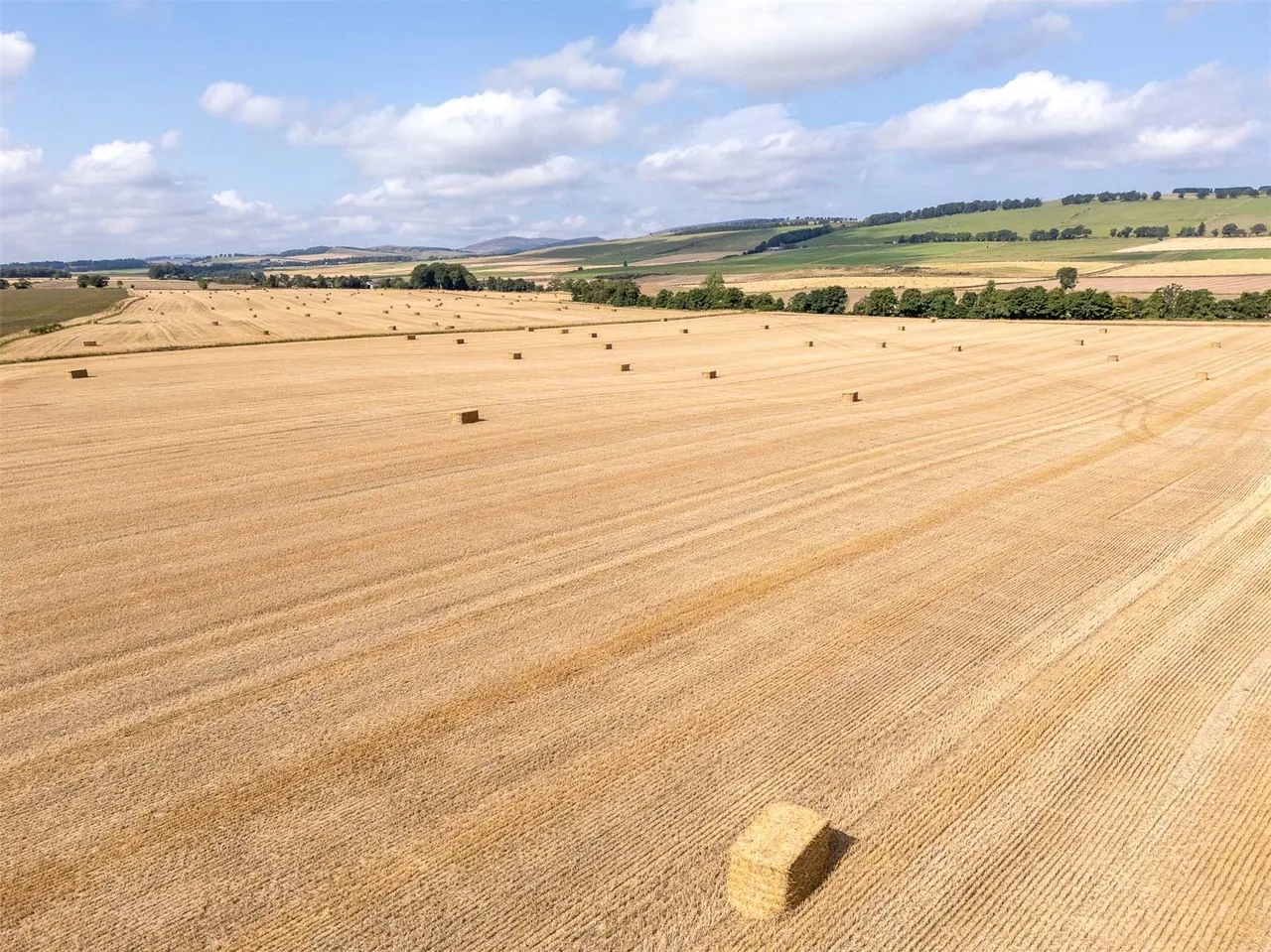 Land At The Coe, Menmuir, Brechin, Angus, DD9 6SF, photo 10