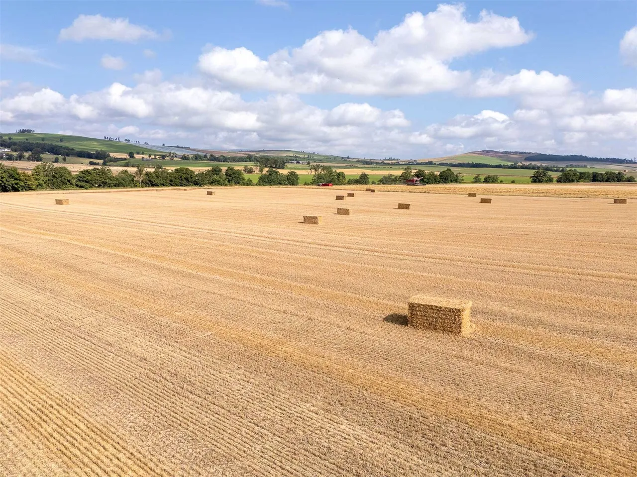 Land At The Coe, Menmuir, Brechin, Angus, DD9 6SF, photo 12