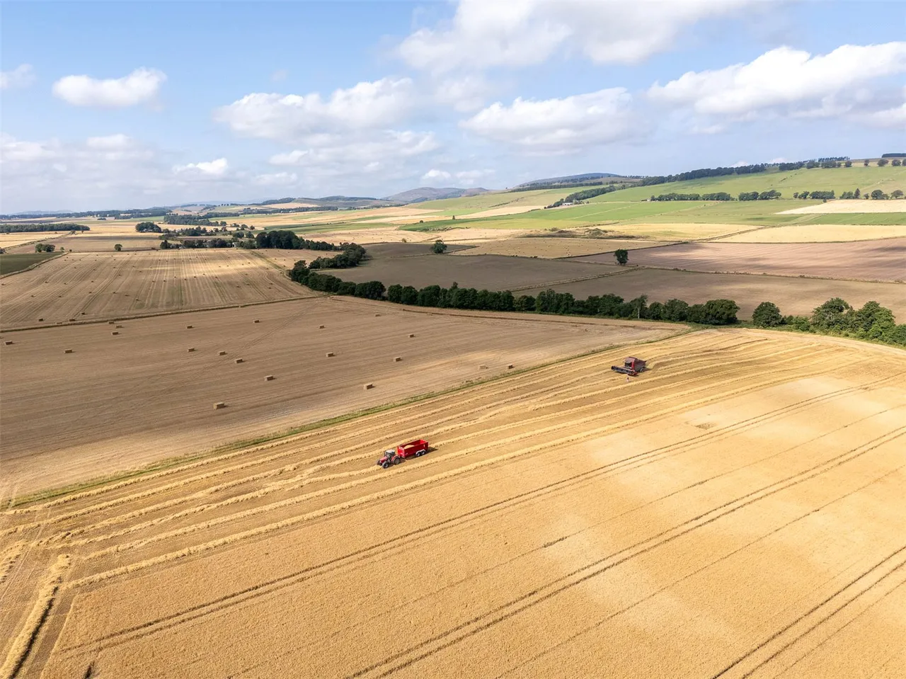 Land At The Coe, Menmuir, Brechin, Angus, DD9 6SF, photo 9