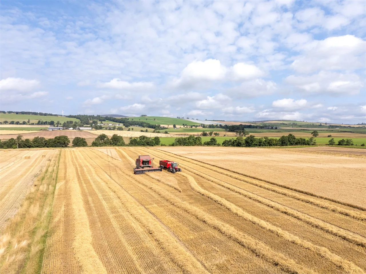 Land At The Coe, Menmuir, Brechin, Angus, DD9 6SF, photo 6