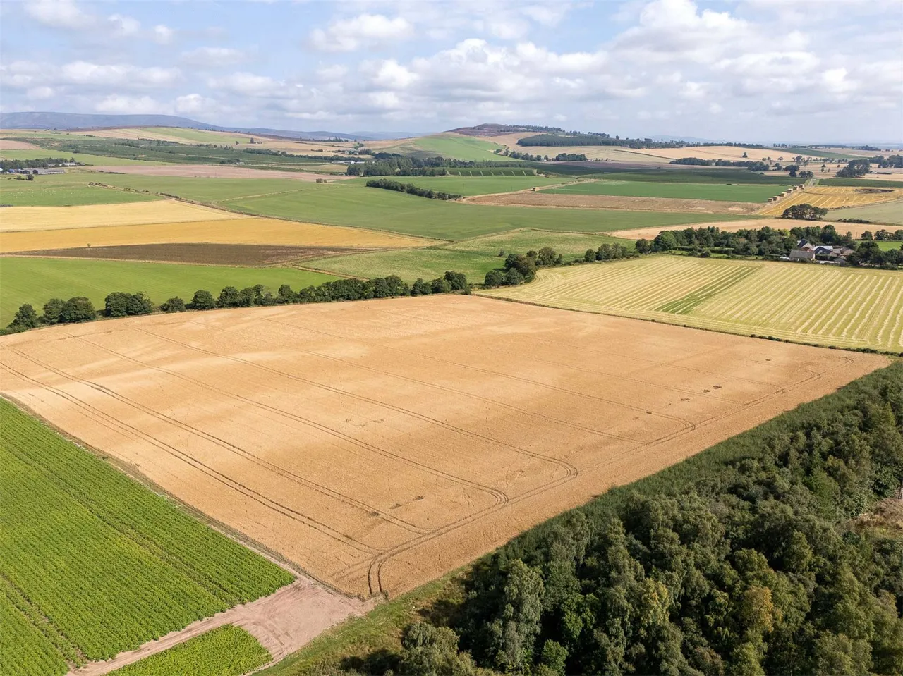 Land At The Coe, Menmuir, Brechin, Angus, DD9 6SF, photo 8
