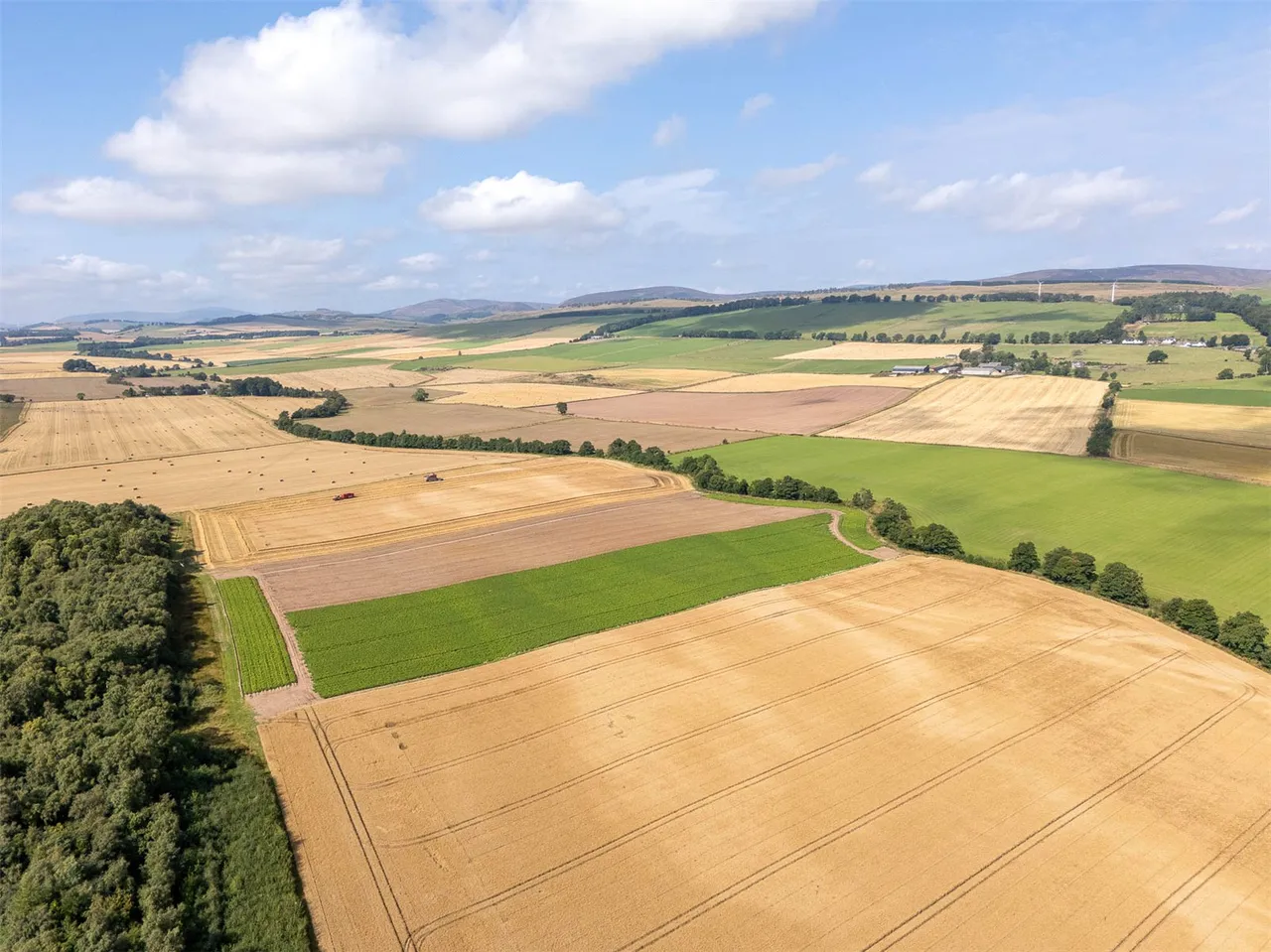 Land At The Coe, Menmuir, Brechin, Angus, DD9 6SF, photo 7