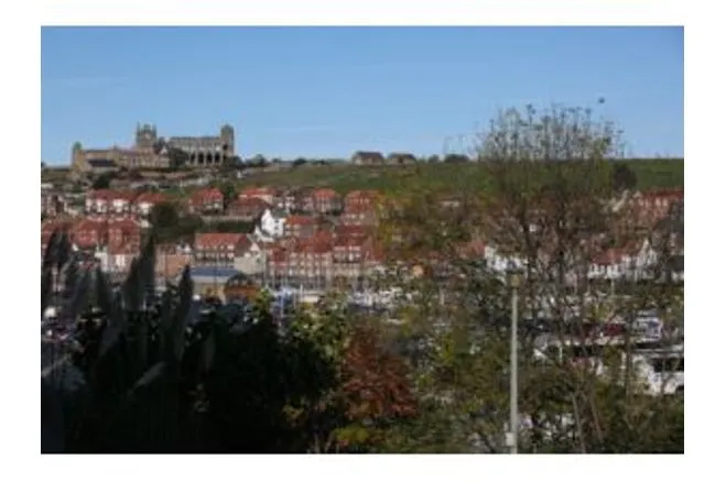 Esk Terrace, Whitby, YO21, photo 31