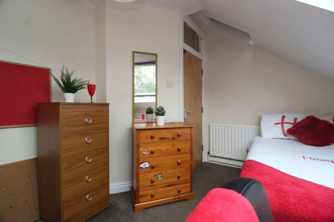 Brighton Terrace Road, S10, photo 12