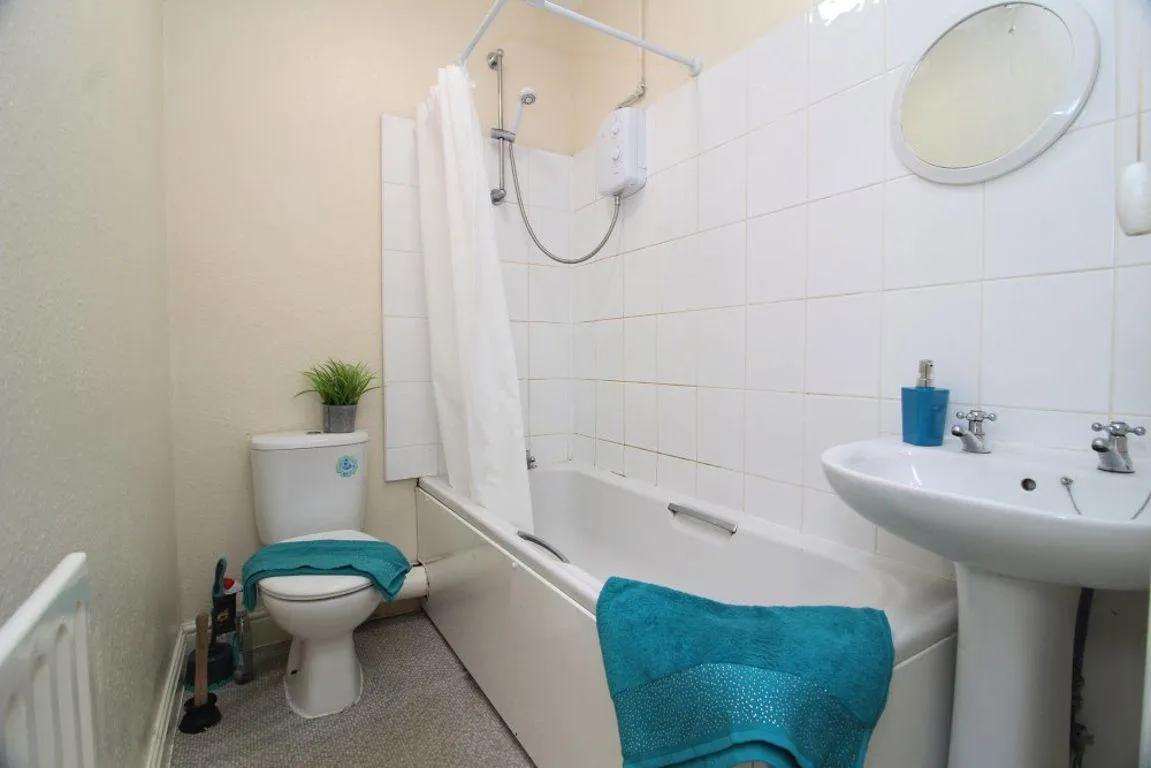 Brighton Terrace Road, S10, photo 16