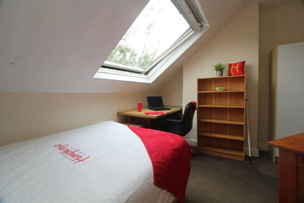 Brighton Terrace Road, S10, photo 11