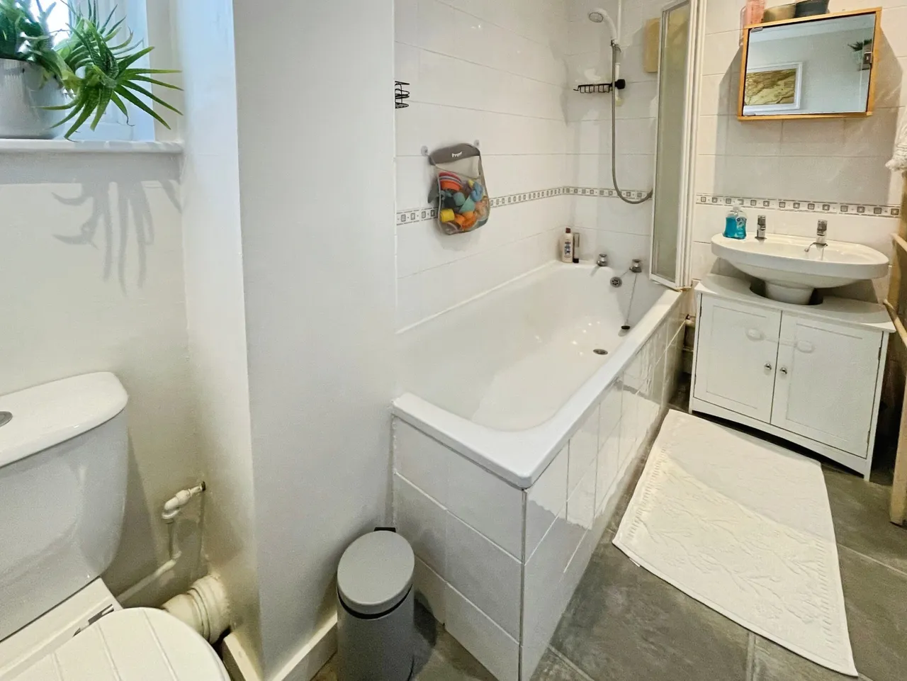 Maybrook, Chineham, Basingstoke, Basingstoke, RG24 8ST, photo 10