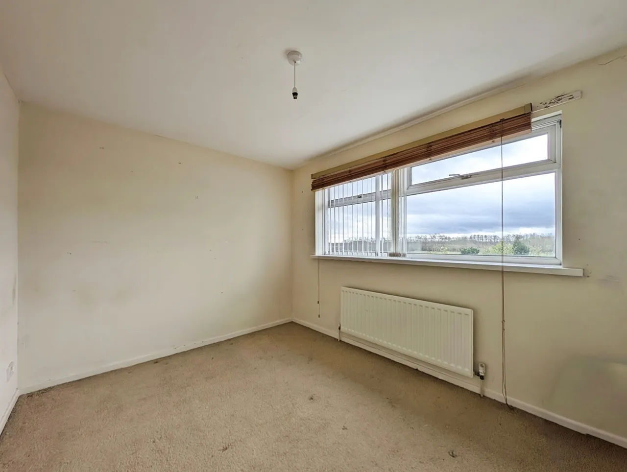 Castleway, Dinnington, Tyne and Wear, NE13, photo 12