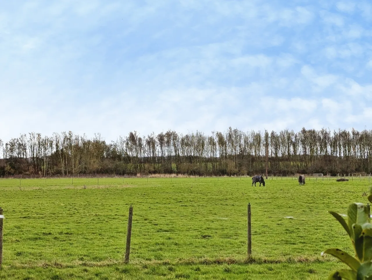 Castleway, Dinnington, Tyne and Wear, NE13, photo 20