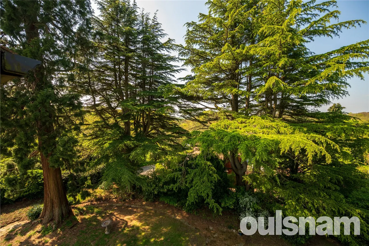 Dale Hill, Blackwell, Bromsgrove, Worcestershire, B60 1QJ, photo 33