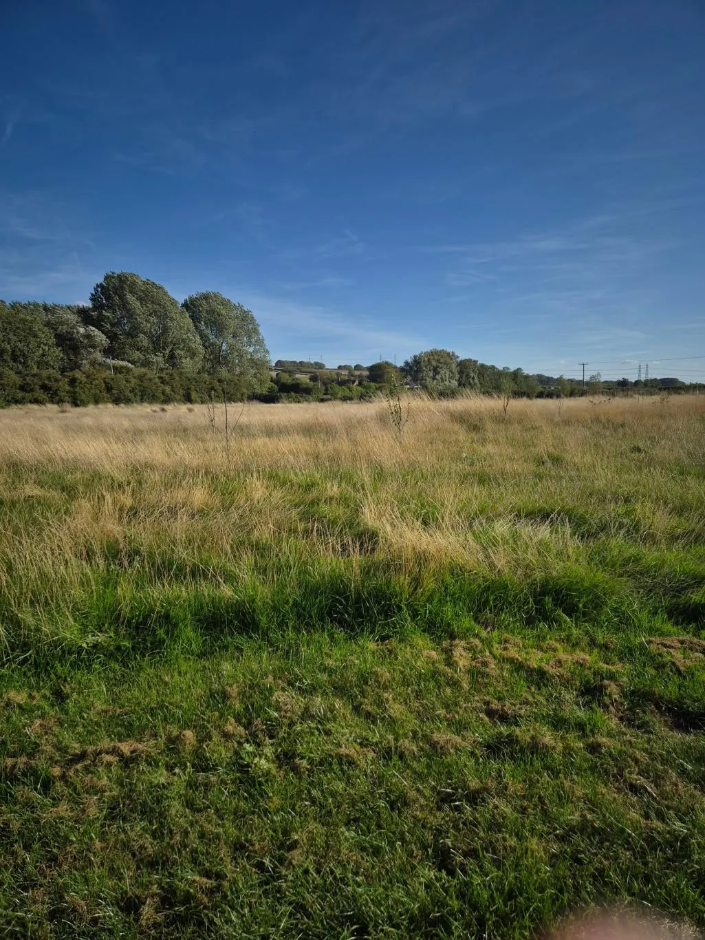 Mill Lane, South Ferriby, DN18, photo 13