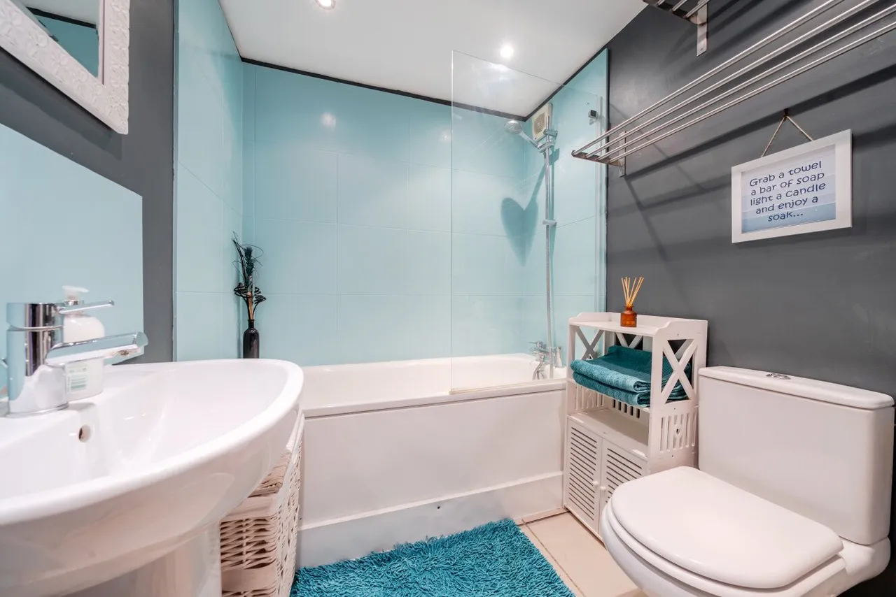 Lower Richmond Road, Putney, SW15, photo 11