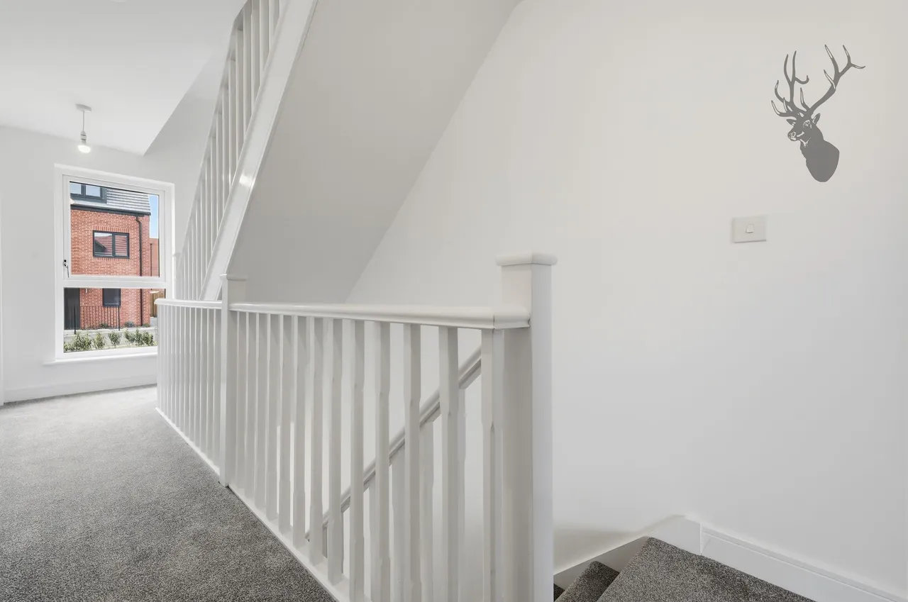 Bishop's Stortford, CM23, photo 12