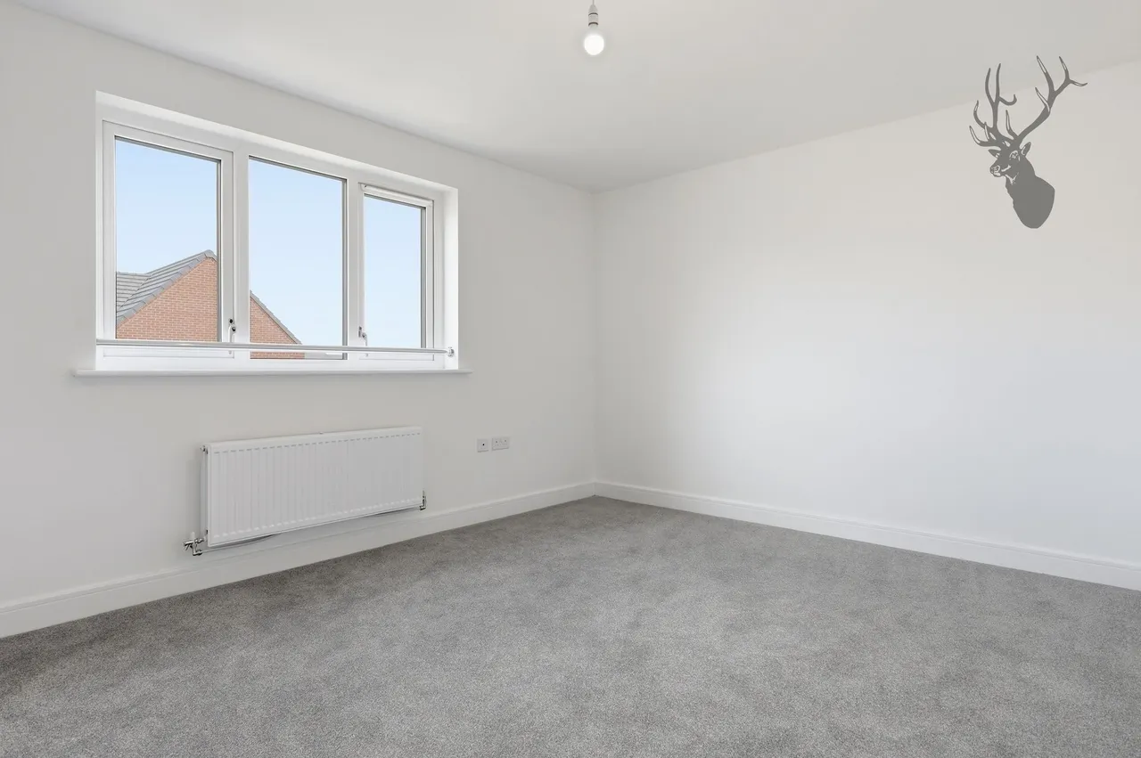 Bishop's Stortford, CM23, photo 7