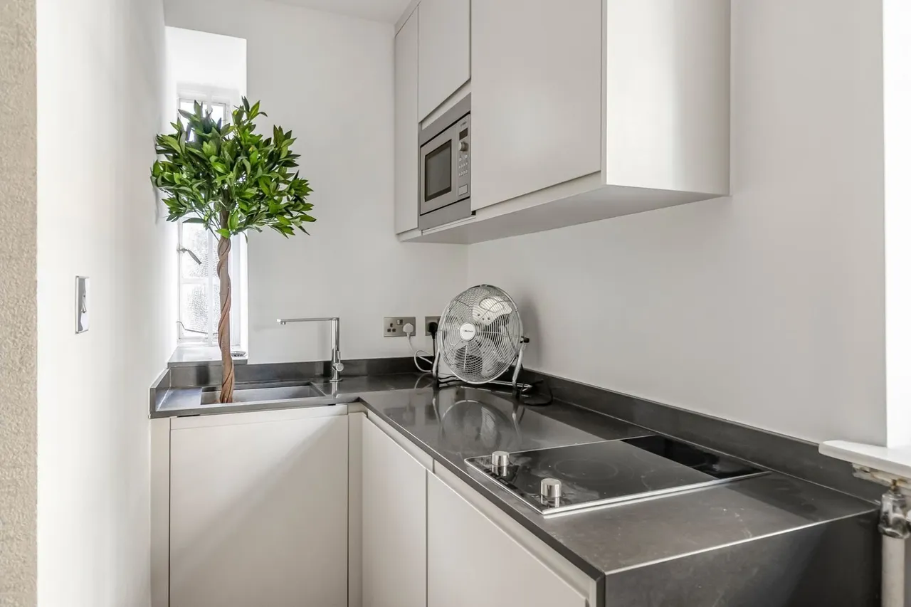 Prince Albert Road, St Johns Wood, NW8, photo 4