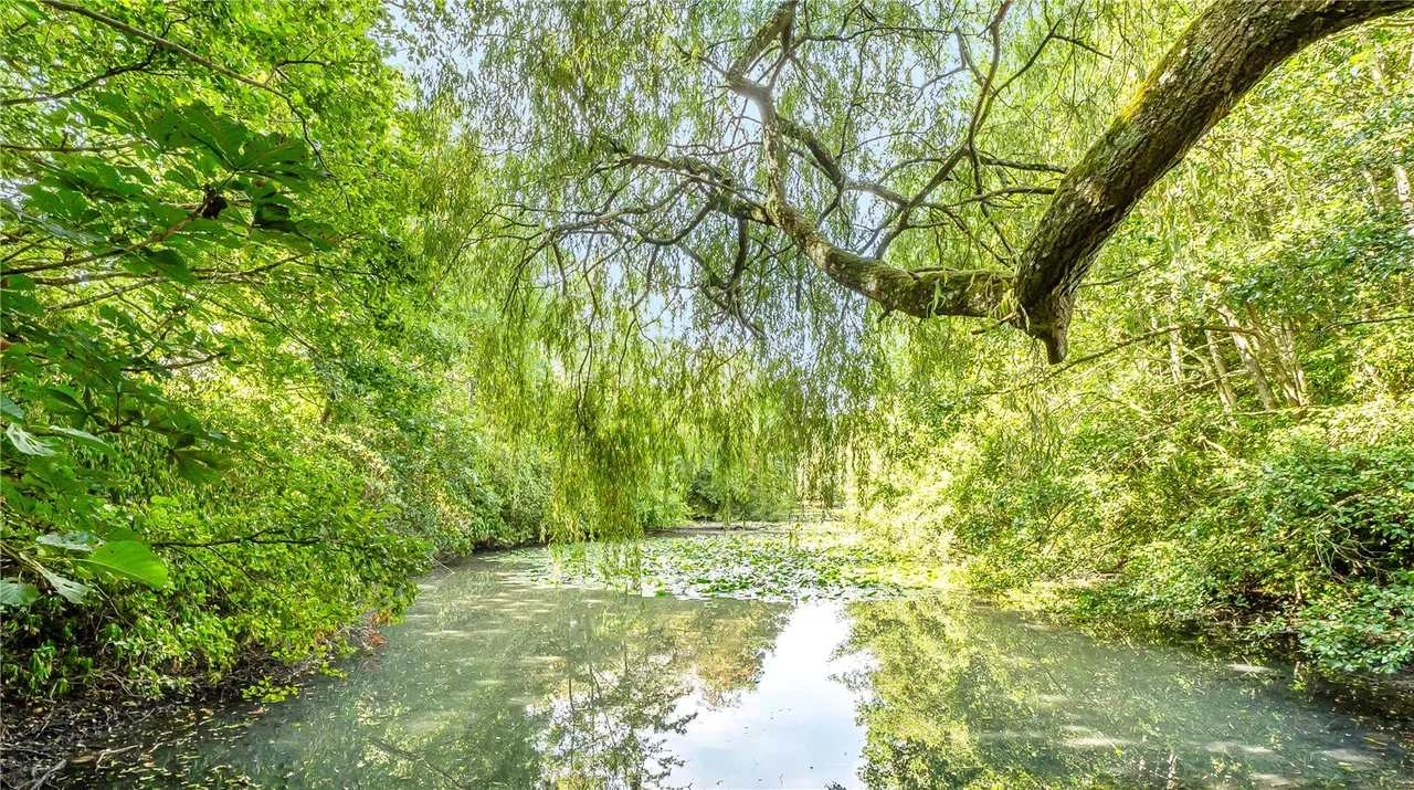 East Hoathly, Lewes, East Sussex, BN8 6QJ, photo 23