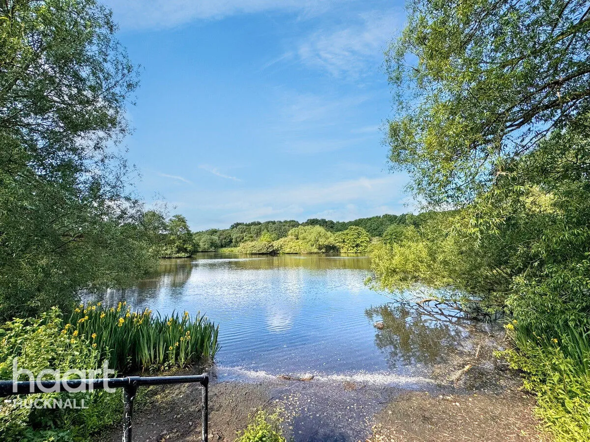 Moor Road, Nottingham, NG6, photo 4