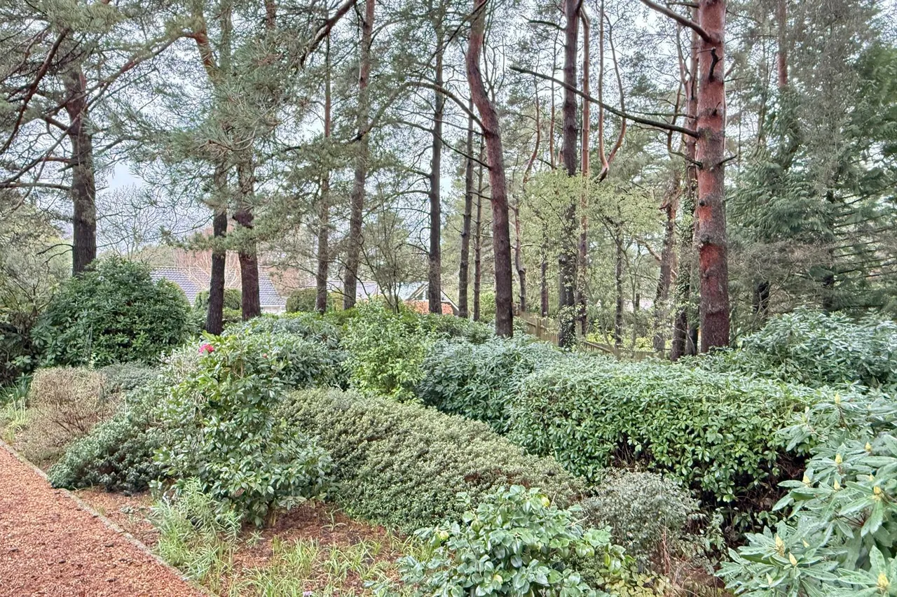 Ashley Heath, BH24, photo 2