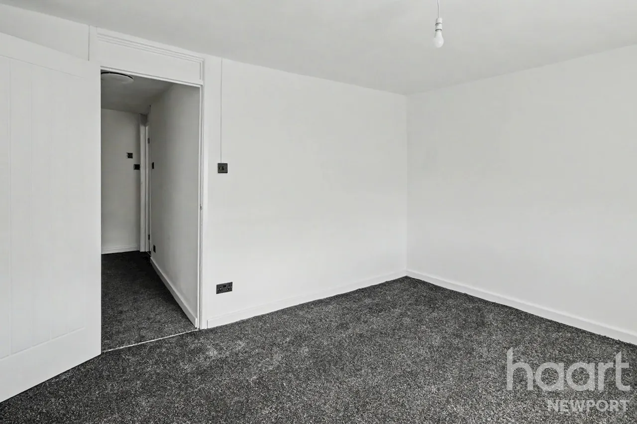 NP23, photo 14